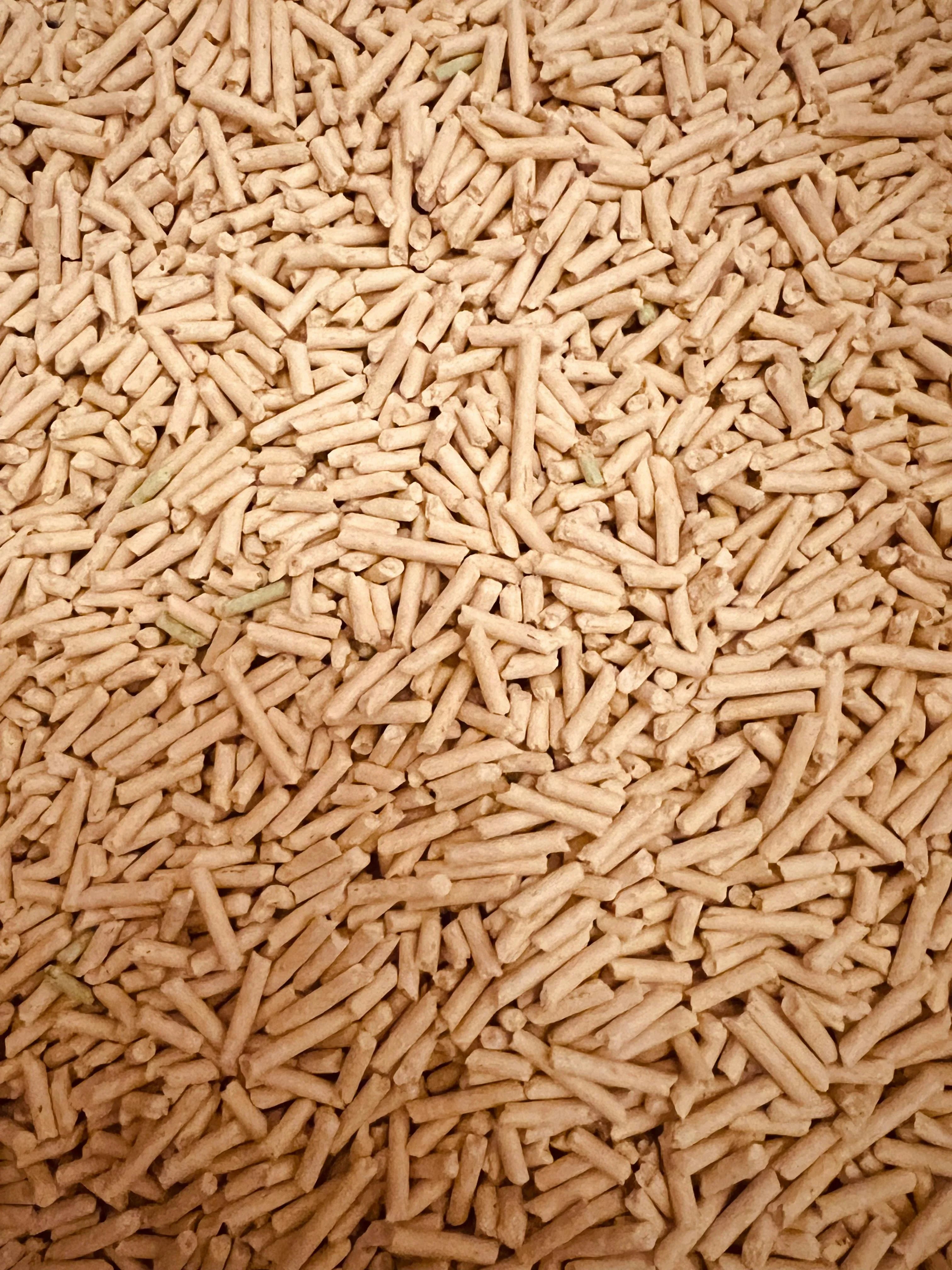 Kwaliteit en Certificeringen van Houtpellets